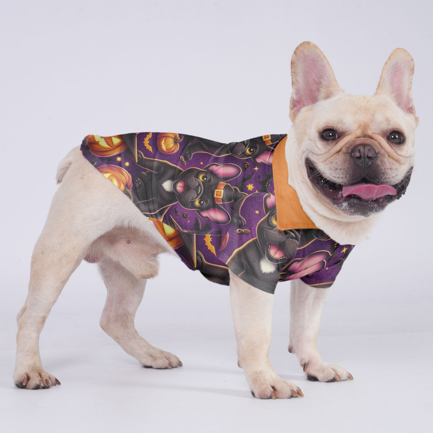 Dixie - Hawaiian Shirt for Frenchies