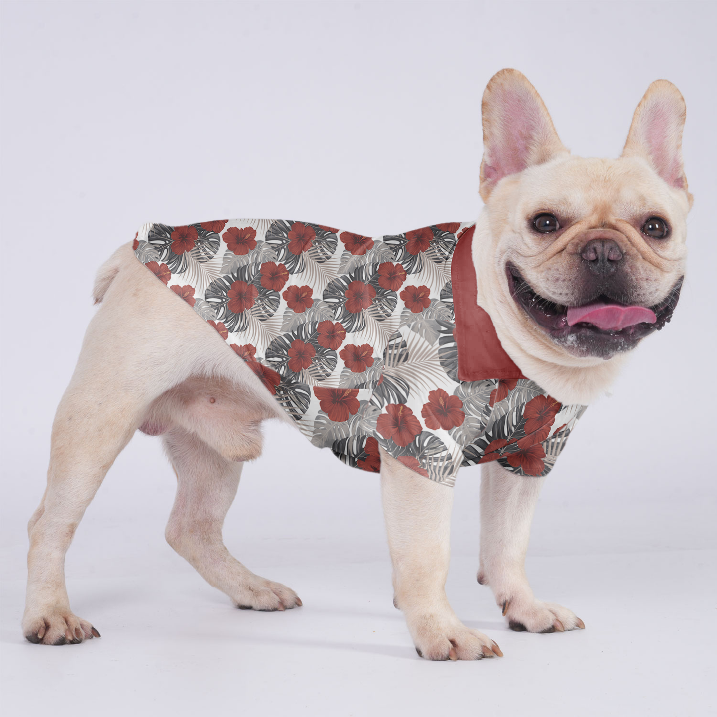 Ruby - Hawaiian Shirt for Frenchies