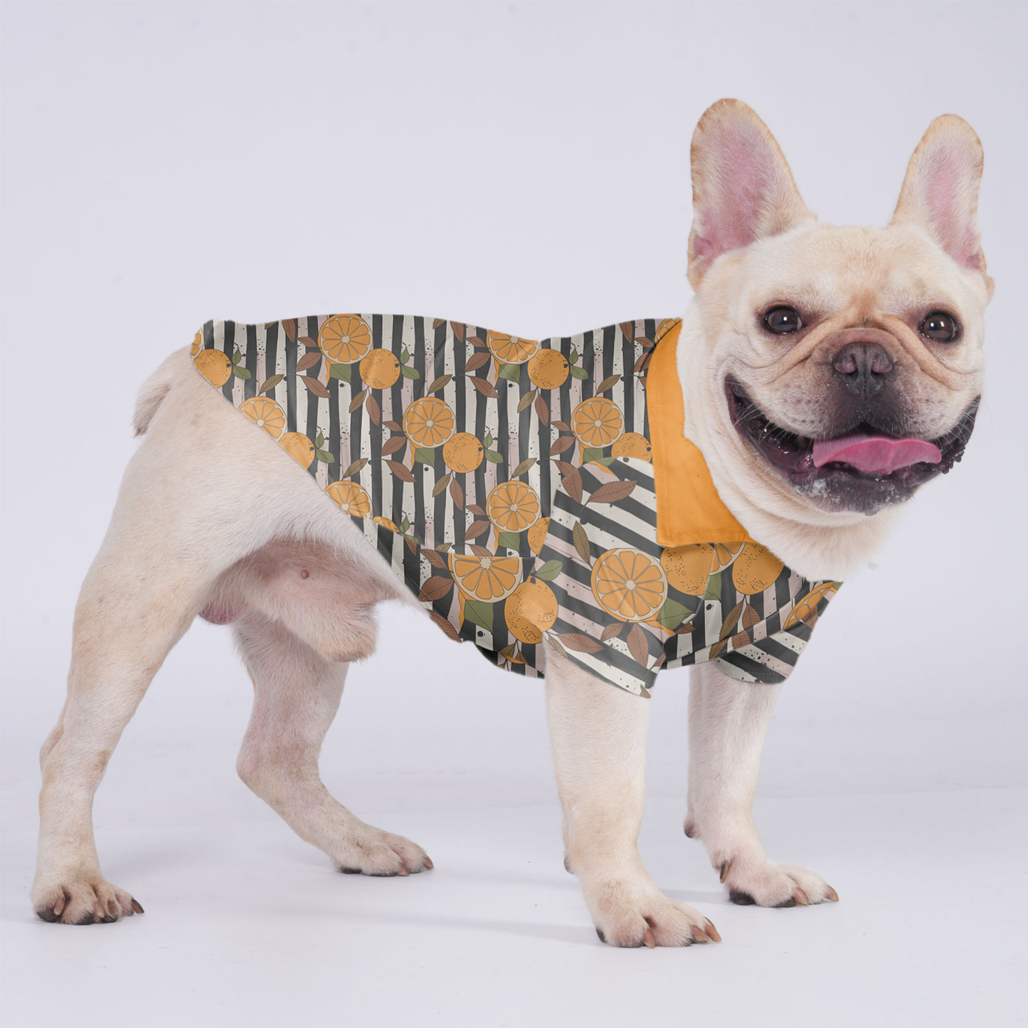 Bruno - Hawaiian Shirt for Frenchies