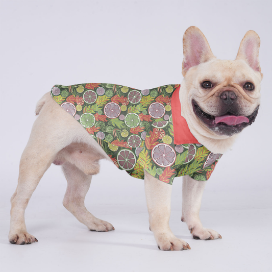 Loki - Hawaiian Shirt for Frenchies