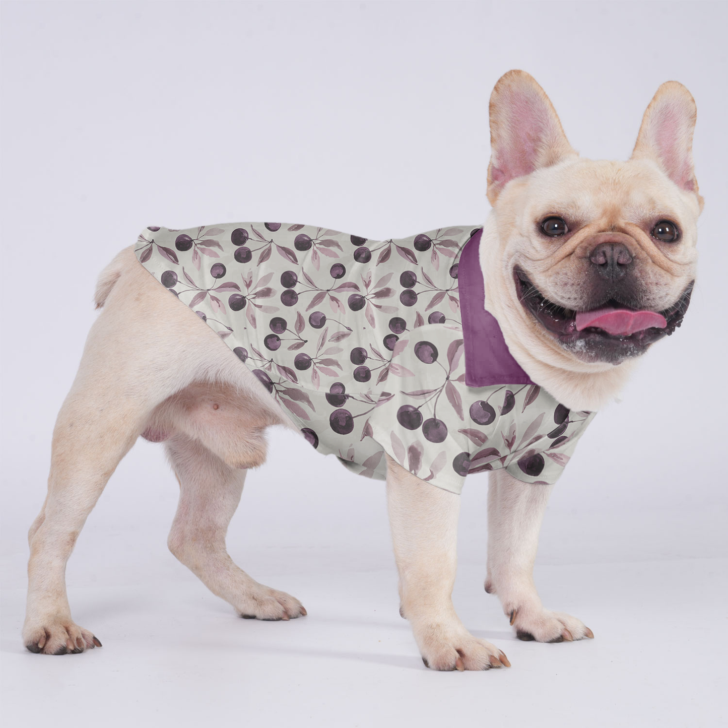 Louie - Hawaiian Shirt for Frenchies