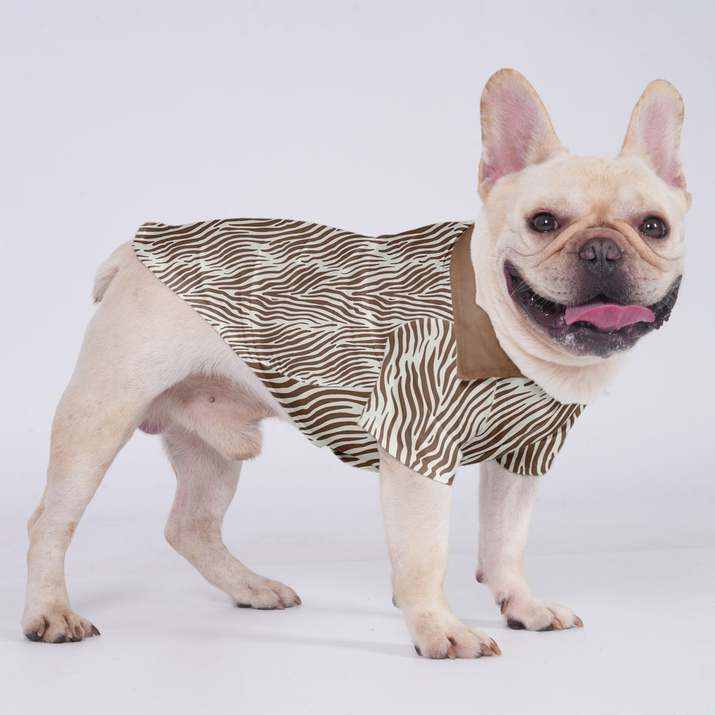 Nova - Hawaiian Shirt for Frenchies