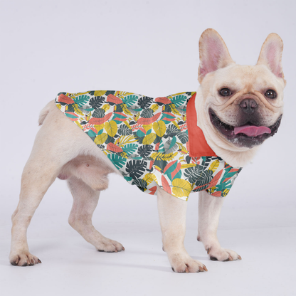 Koda - Hawaiian Shirt for Frenchies