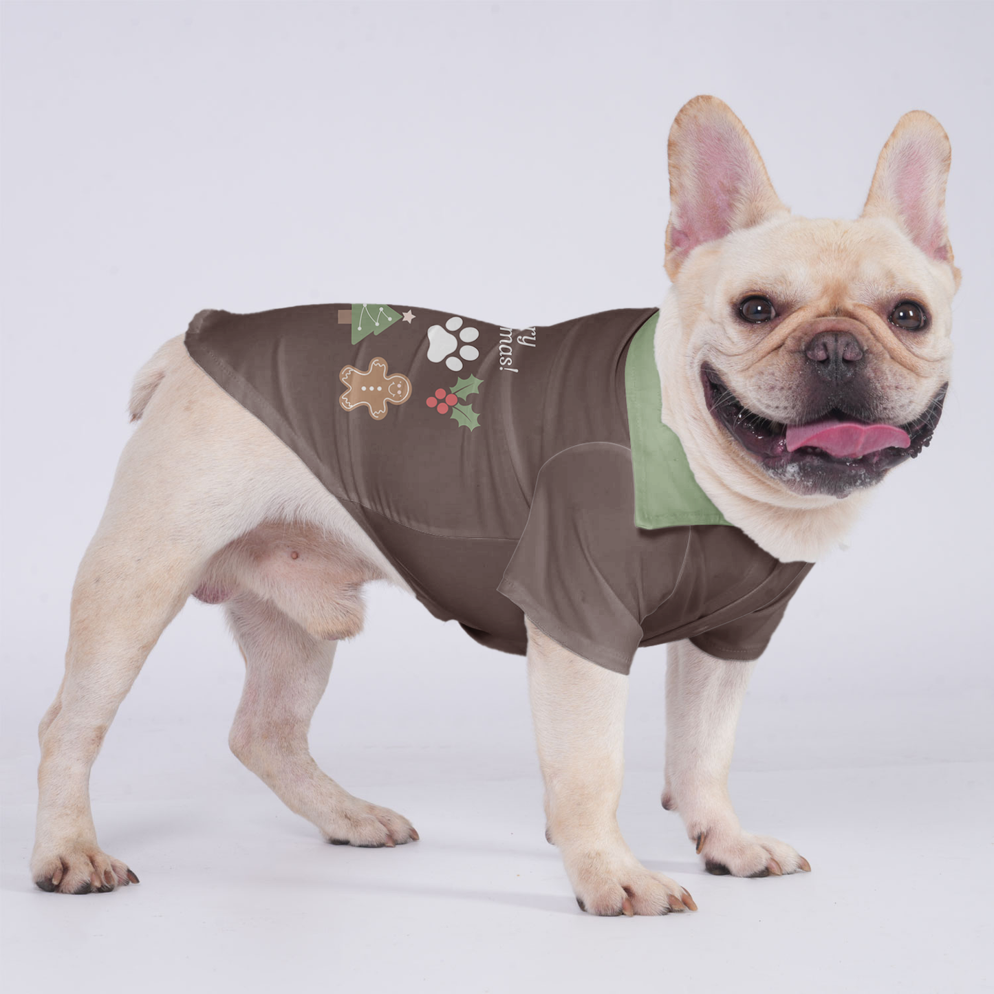 Rocky - Hawaiian Shirt for Frenchies