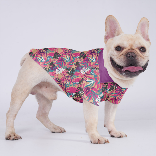 Lulu - Hawaiian Shirt for Frenchies