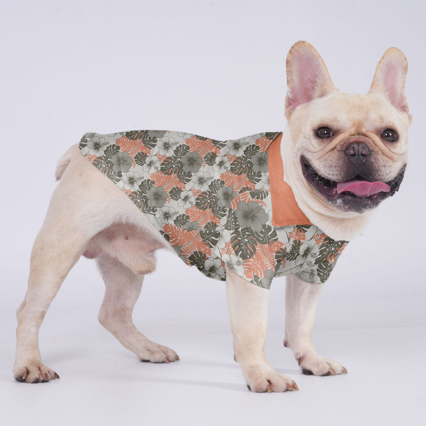 Millie - Hawaiian Shirt for Frenchies