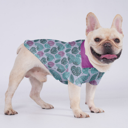 Beau - Hawaiian Shirt for Frenchies