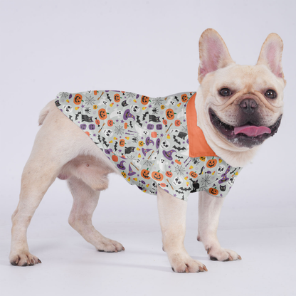 Daisy - Hawaiian Shirt for Frenchies