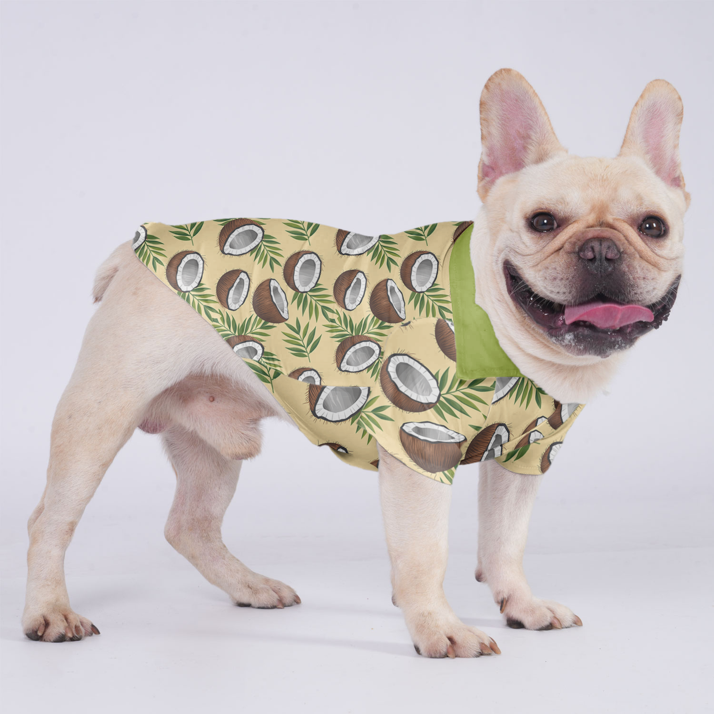 Zoe - Hawaiian Shirt for Frenchies