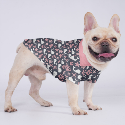 Benji - Hawaiian Shirt for Frenchies