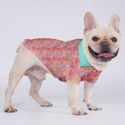 Frankie - Hawaiian Shirt for Frenchies