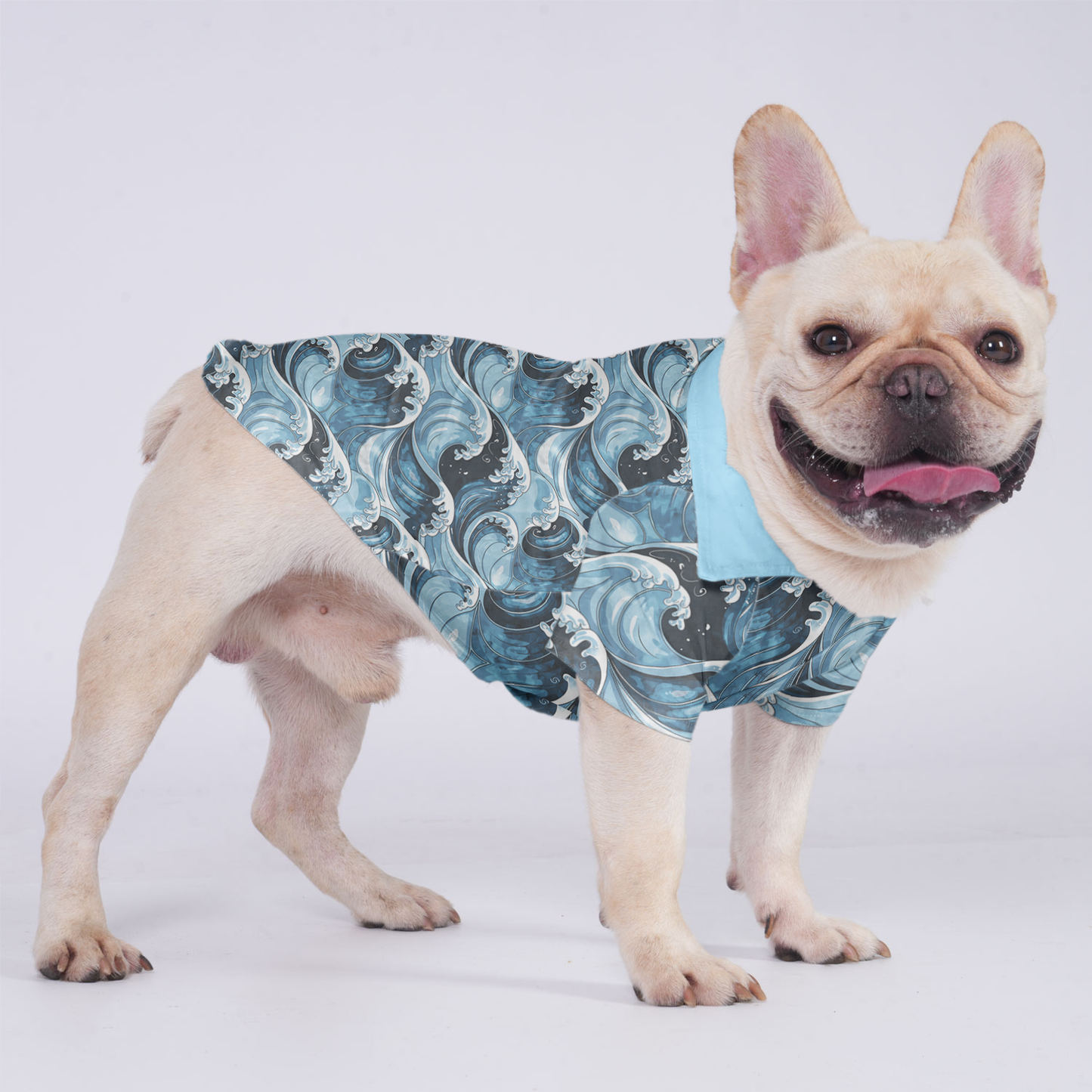 Scout - Hawaiian Shirt for Frenchies