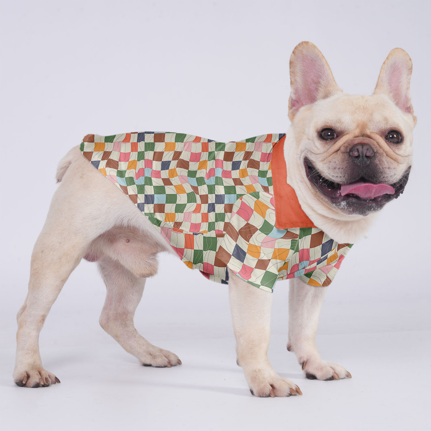 Poppy - Hawaiian Shirt for Frenchies