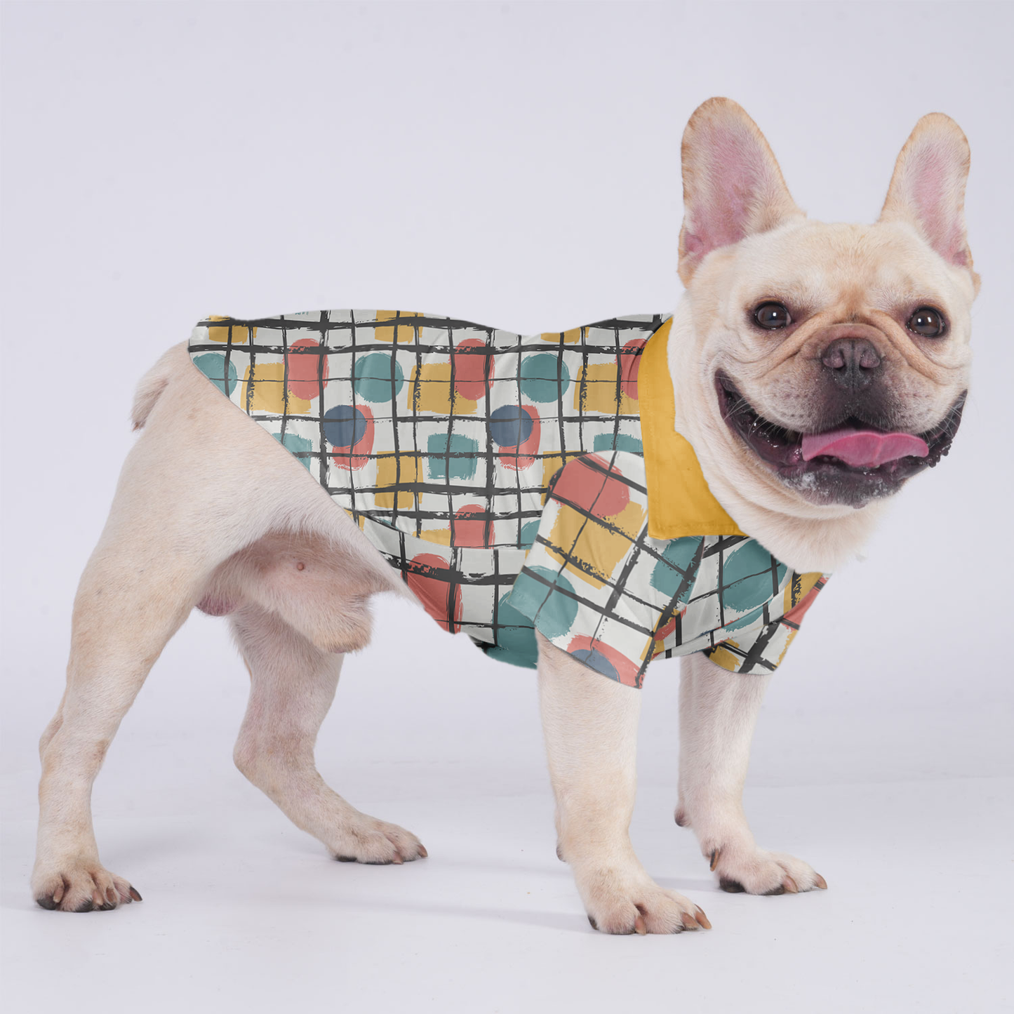 Henry - Hawaiian Shirt for Frenchies