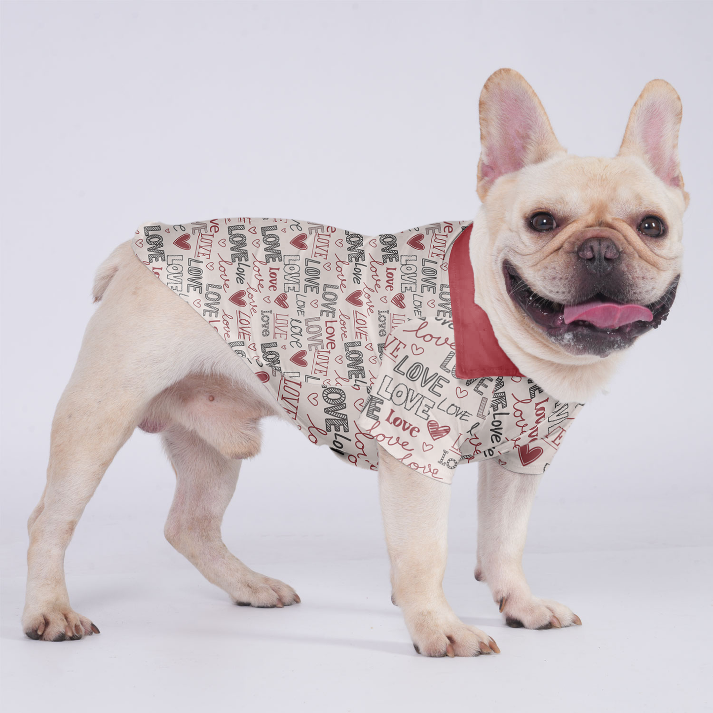 Aspen - Hawaiian Shirt for Frenchies