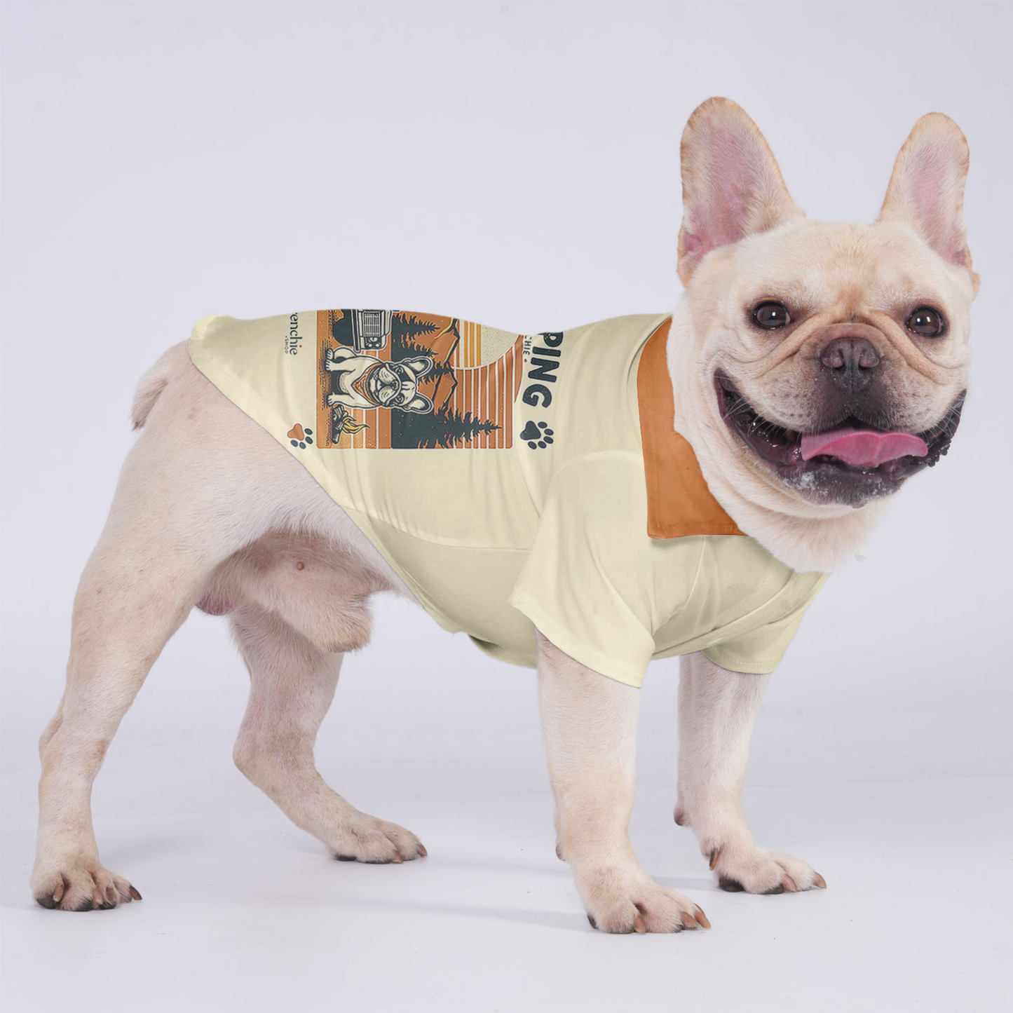 Gizmo - Hawaiian Shirt for Frenchies