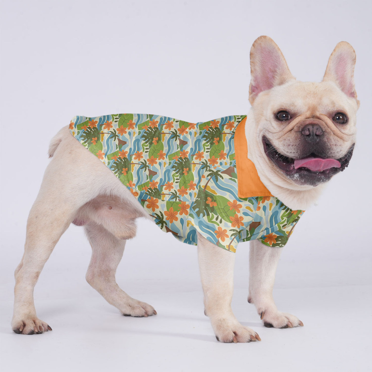 Nala - Hawaiian Shirt for Frenchies