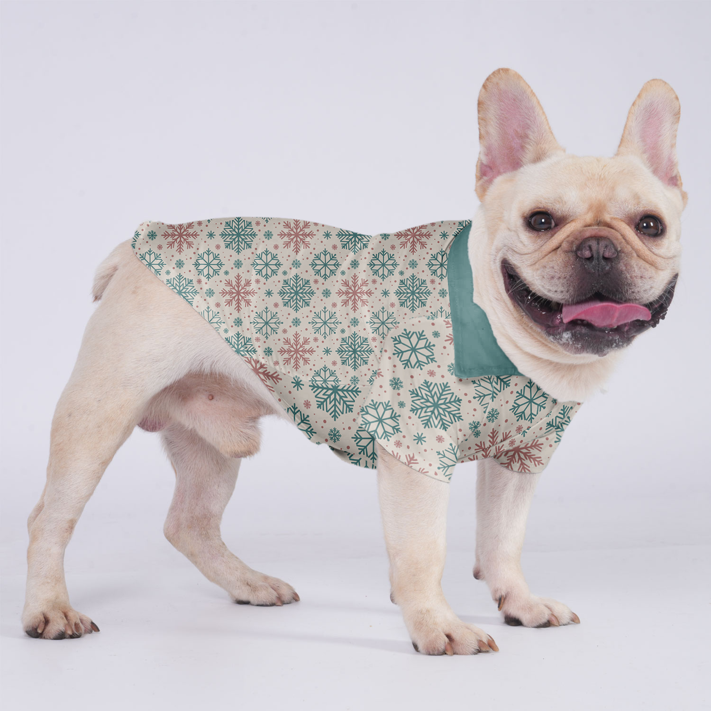 Cookie - Hawaiian Shirt for Frenchies