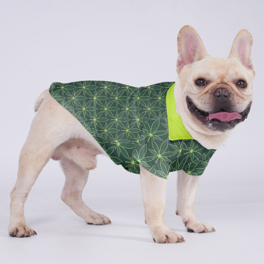 Willow - Hawaiian Shirt for Frenchies