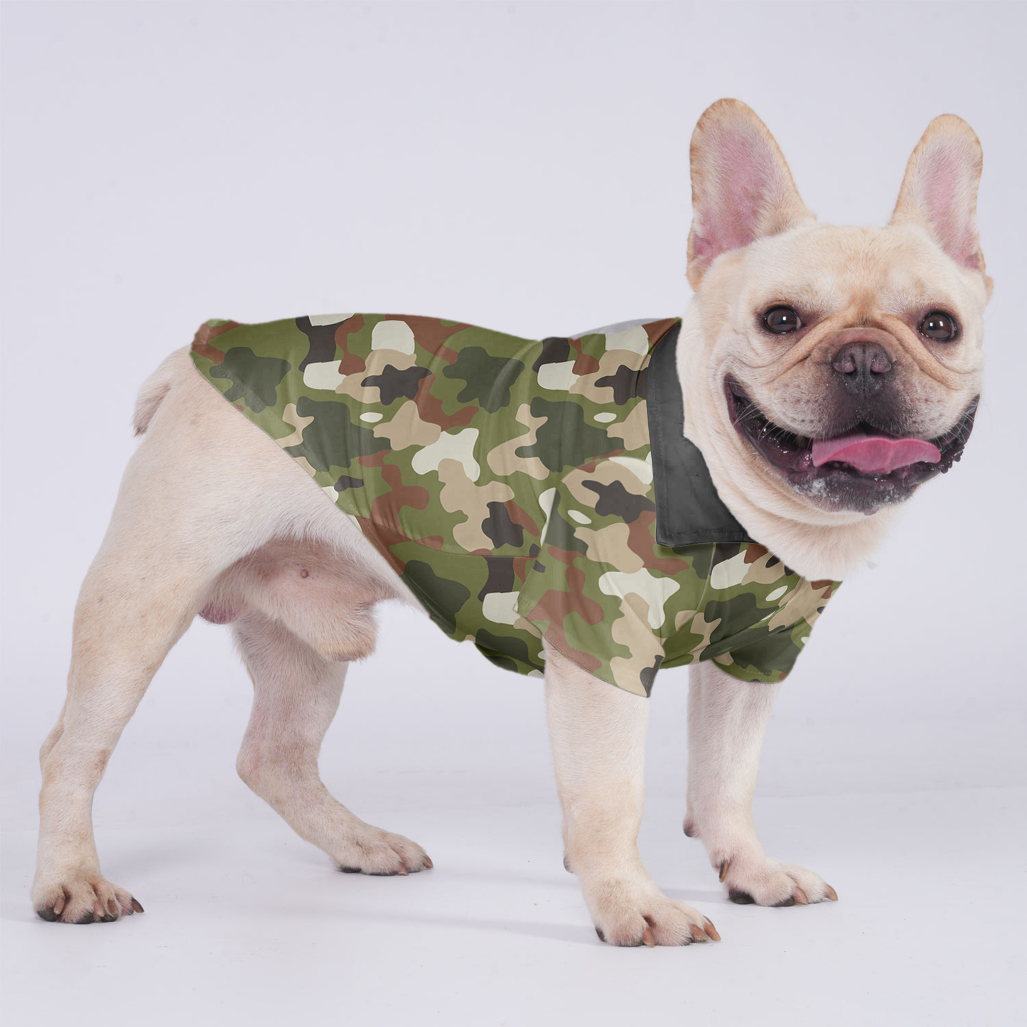 Thor - Hawaiian Shirt for Frenchies