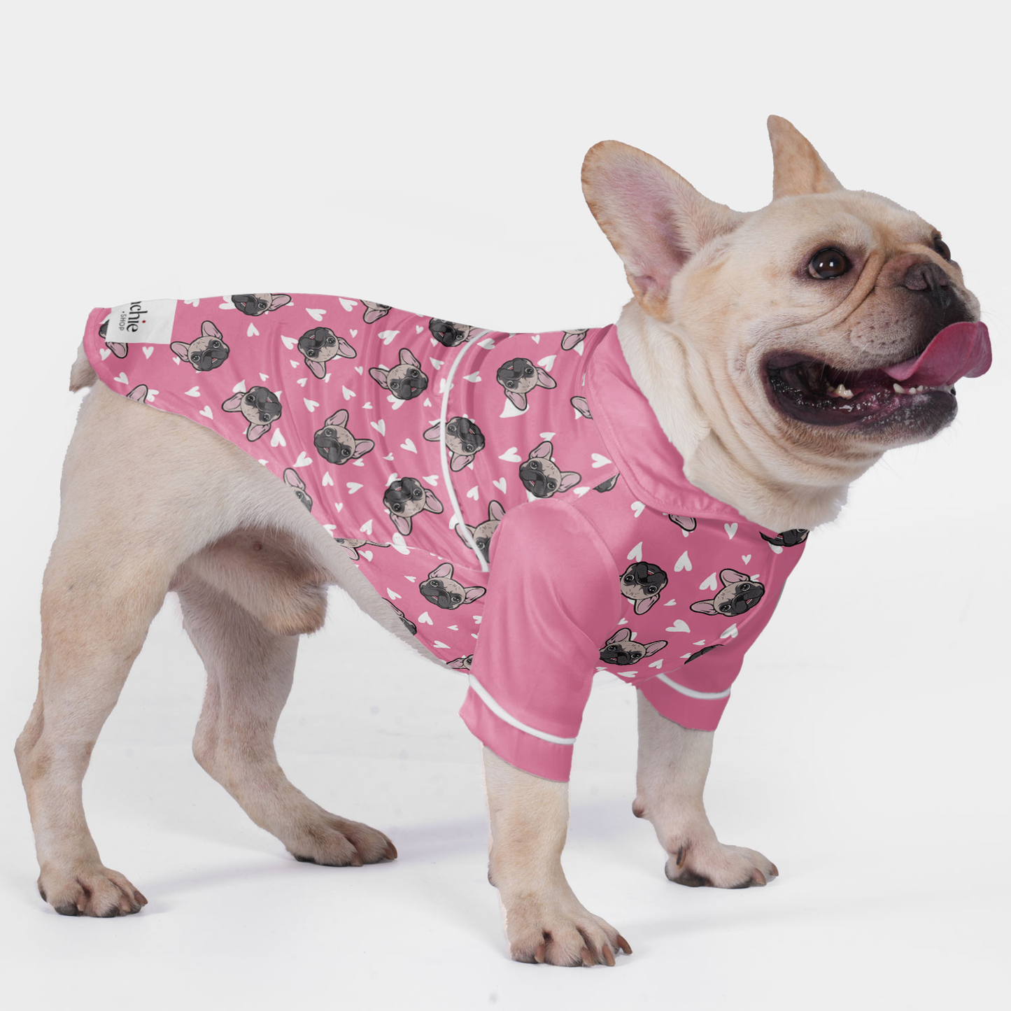 Danton - Pajamas for French bulldog