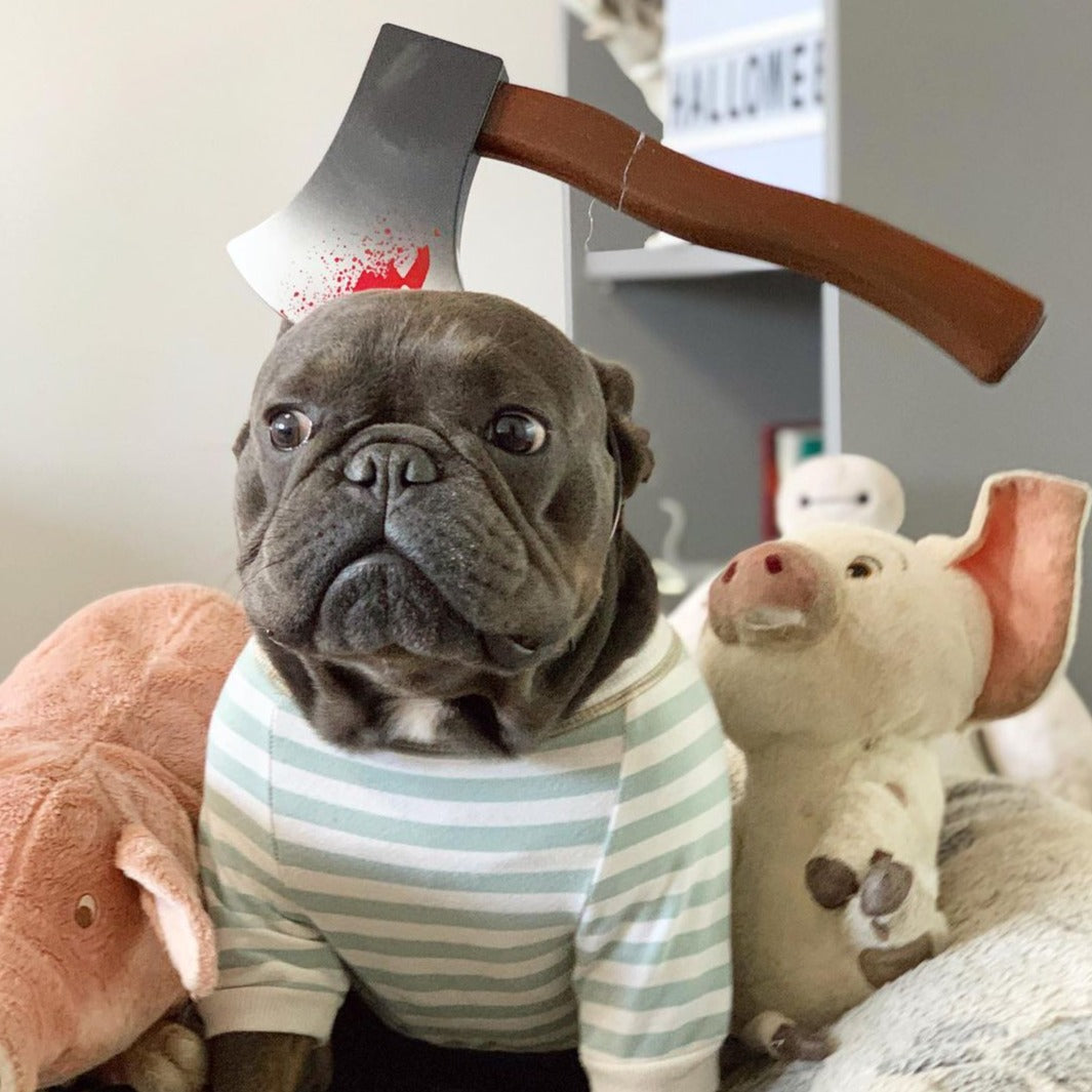 Halloween outfits for french sale bulldogs