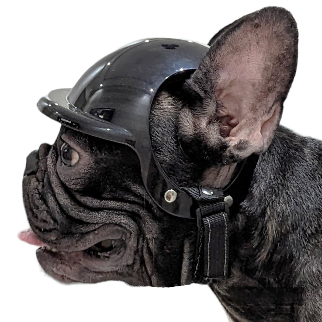 Ultimate Frenchie Protection Helmet – frenchie Shop