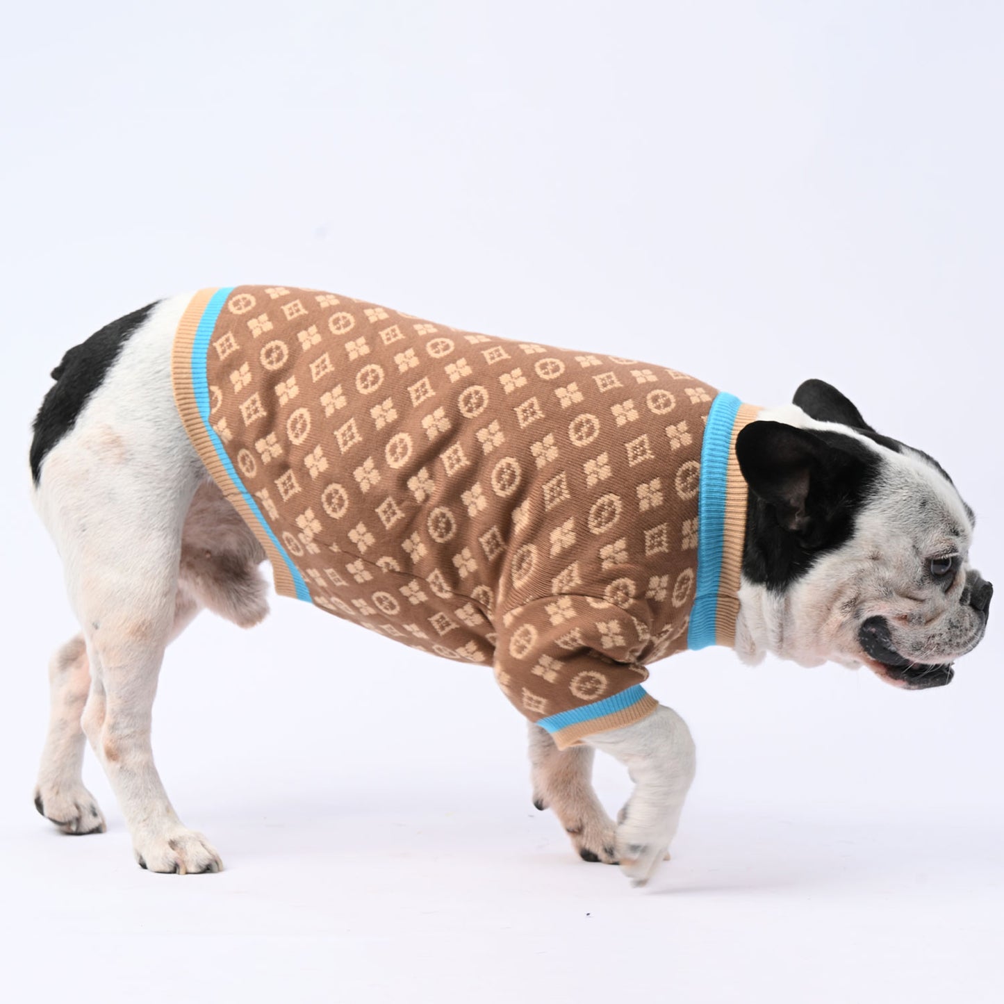 www.frenchie.shop-ChillGuard-Frenchie-Winter-Sweater-with-Cute-Design