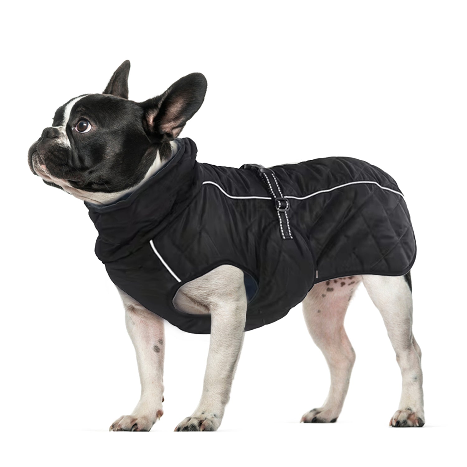 PawArmor-French-Bulldog-Winter-Coat-Reflective-and-Insulated-Dog-Jacket-www.frenchie.shop