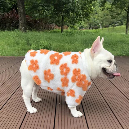 PetalPup-Flower-Bloom-Frenchie-Sweater-Stylish-Pet-Apparel-www.Frenchie.shop