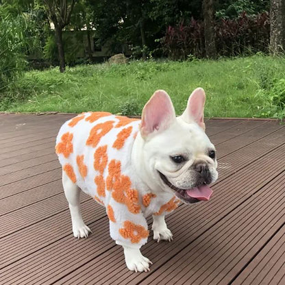 PetalPup-Flower-Bloom-Frenchie-Sweater-Stylish-Pet-Apparel-www.Frenchie.shop