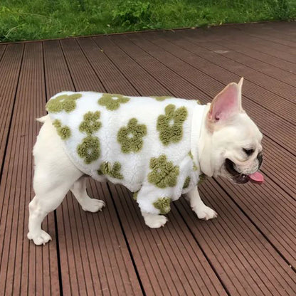 PetalPup-Flower-Bloom-Frenchie-Sweater-Stylish-Pet-Apparel-www.Frenchie.shop