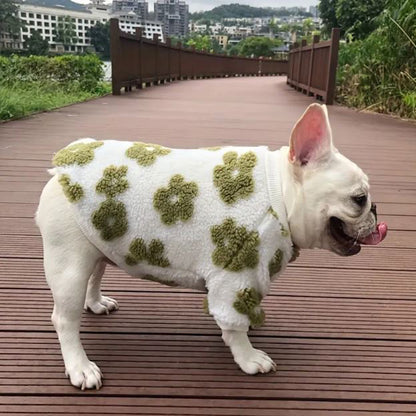 PetalPup-Flower-Bloom-Frenchie-Sweater-Stylish-Pet-Apparel-www.Frenchie.shop