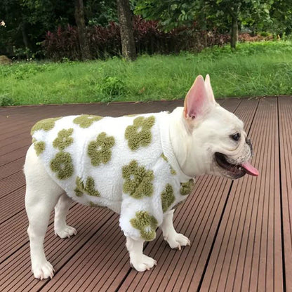 PetalPup-Flower-Bloom-Frenchie-Sweater-Stylish-Pet-Apparel-www.Frenchie.shop