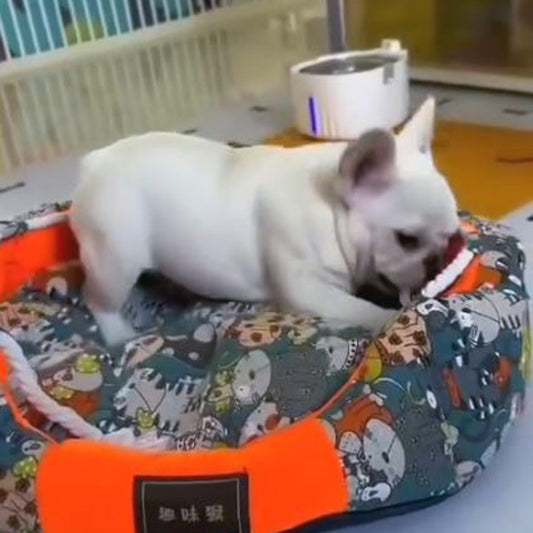 Premium French Bulldog Bed for Ultimate Sleep