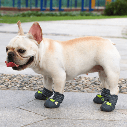 PupLuxe-Frenchie-Booties-with-Reflective-Straps-www.frenchie.shop