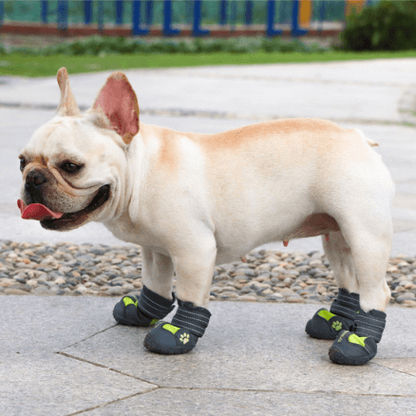 PupLuxe-Frenchie-Booties-with-Reflective-Straps-www.frenchie.shop