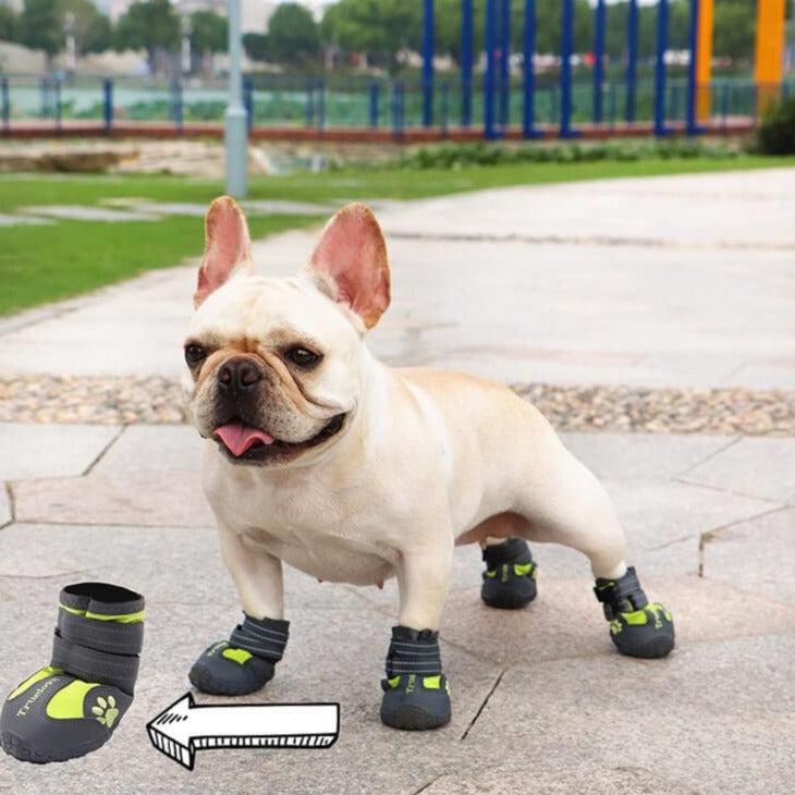 PupLuxe-Frenchie-Booties-with-Reflective-Straps-www.frenchie.shop