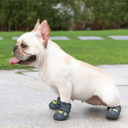 PupLuxe-Frenchie-Booties-with-Reflective-Straps-www.frenchie.shop