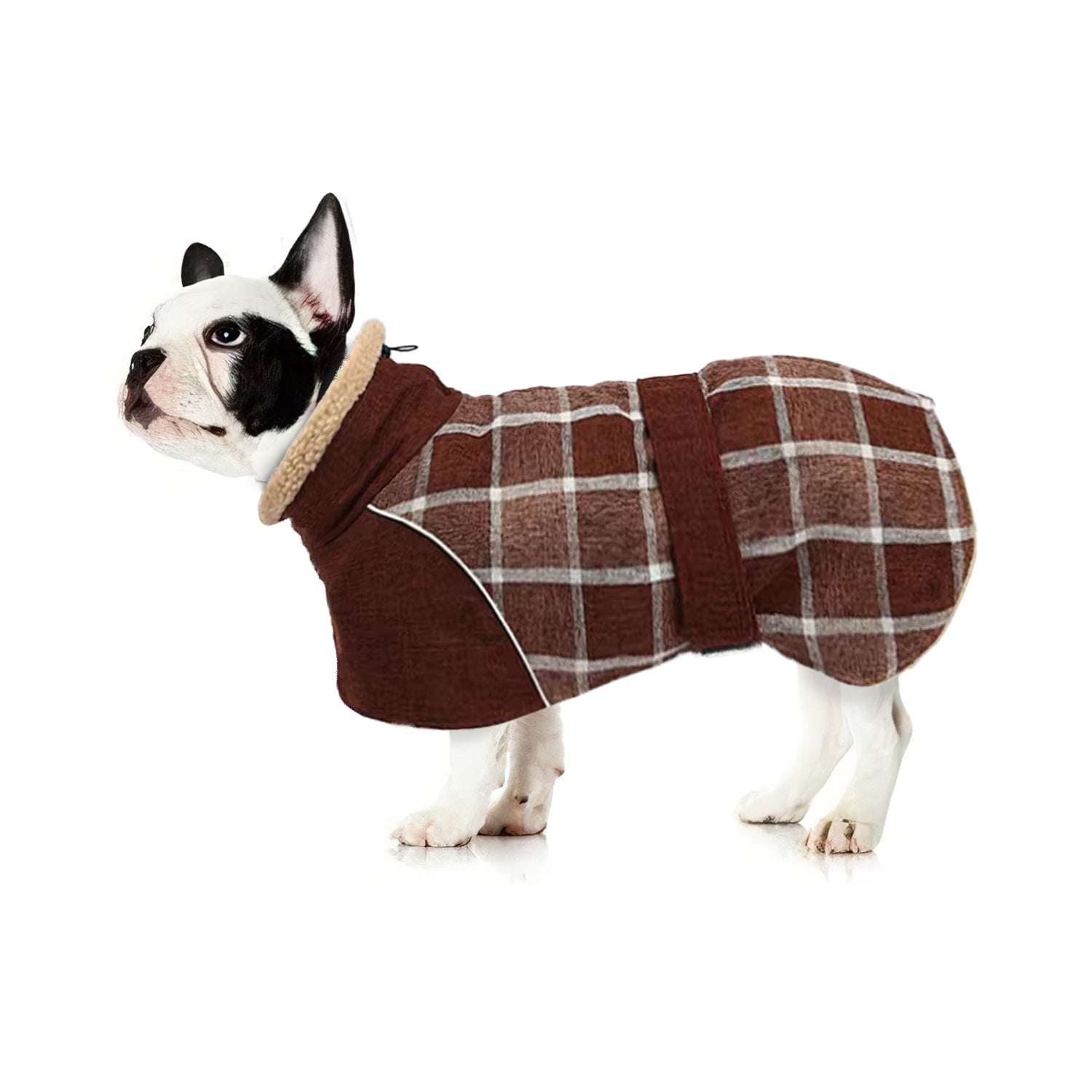 PupShield-Frenchie-Winter-Coat-Thick-Reflective-and-Windproof-Dog-Jacket-www.frenchie.shop