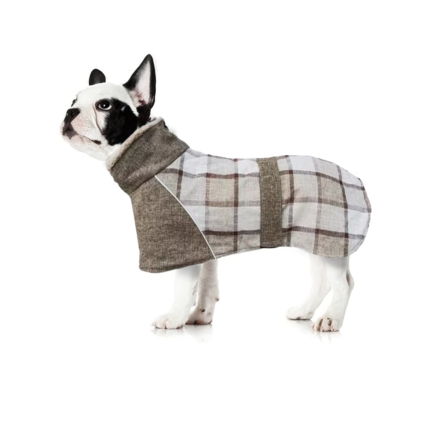 PupShield-Frenchie-Winter-Coat-Thick-Reflective-and-Windproof-Dog-Jacket-www.frenchie.shop