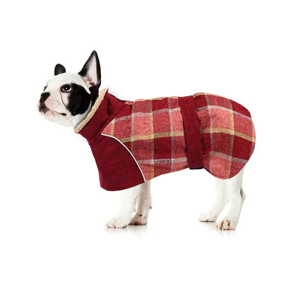 PupShield-Frenchie-Winter-Coat-Thick-Reflective-and-Windproof-Dog-Jacket-www.frenchie.shop