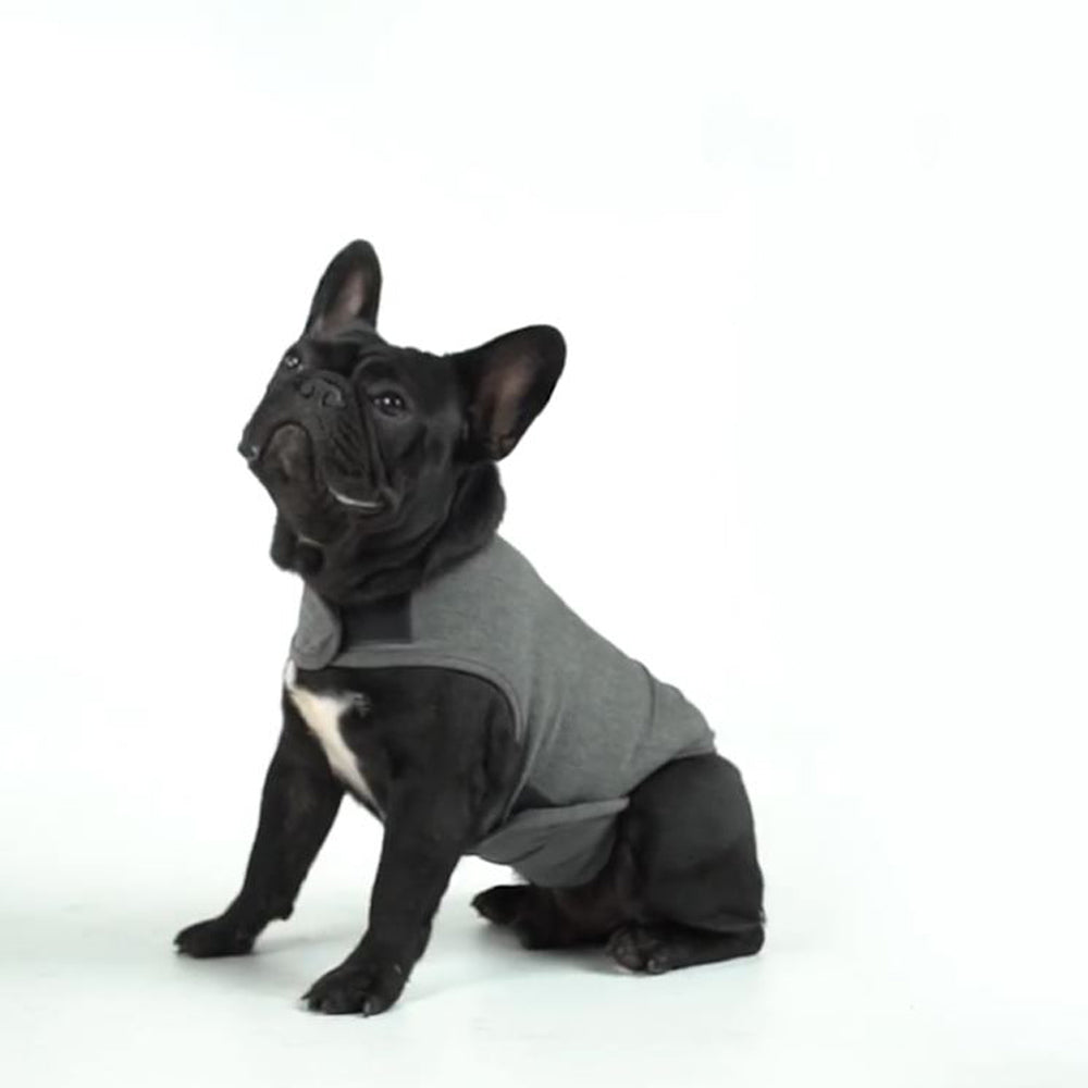 RelaxRover-Frenchie-Anxiety-Jacket-Calming-Clothes-for-Dogs-www.frenchie.shop