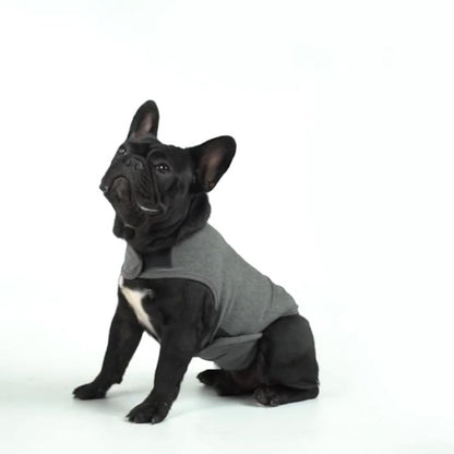 RelaxRover-Frenchie-Anxiety-Jacket-Calming-Clothes-for-Dogs-www.frenchie.shop