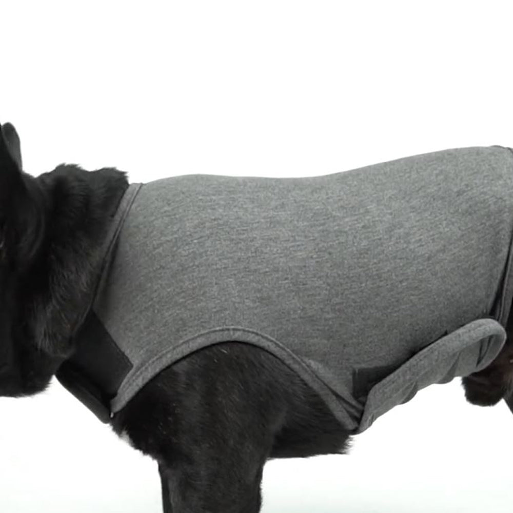 RelaxRover-Frenchie-Anxiety-Jacket-Calming-Clothes-for-Dogs-www.frenchie.shop