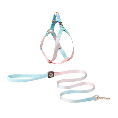 Frenchie-No-Pull-Harness-Leash-Set-Combining-Comfort-with-Control-www.frenchie.shop