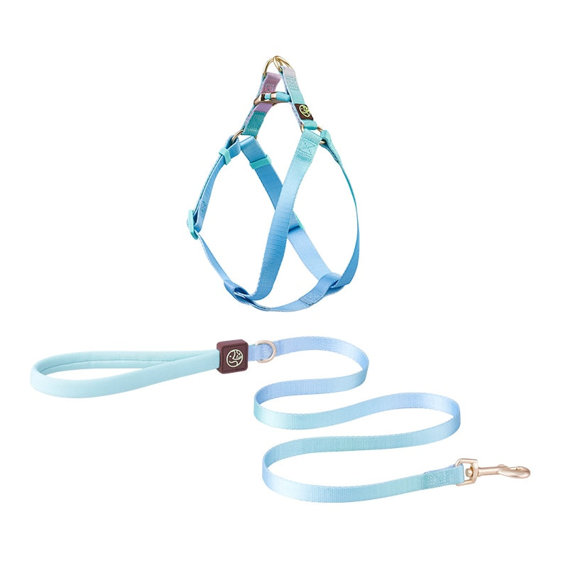 Frenchie-No-Pull-Harness-Leash-Set-Combining-Comfort-with-Control-www.frenchie.shop