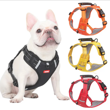 French bulldog Harness – frenchie Shop