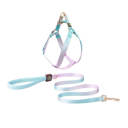 Frenchie-No-Pull-Harness-Leash-Set-Combining-Comfort-with-Control-www.frenchie.shop