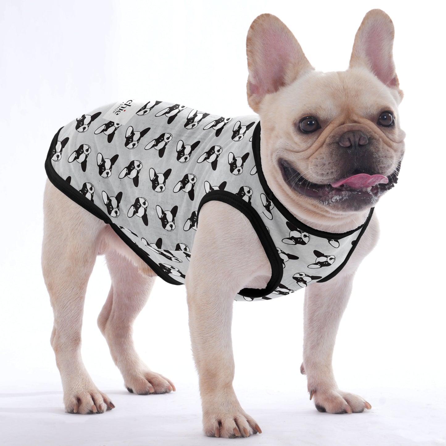 Charlie -  Shirt for Frenchies - Frenchie Shop Original